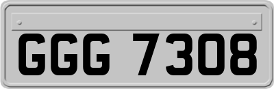 GGG7308