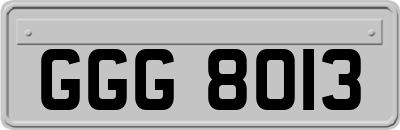 GGG8013