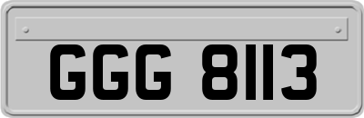 GGG8113
