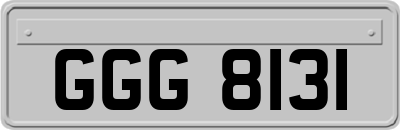 GGG8131