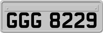 GGG8229