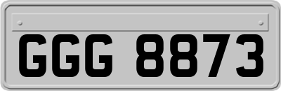 GGG8873