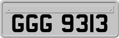 GGG9313