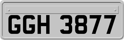 GGH3877
