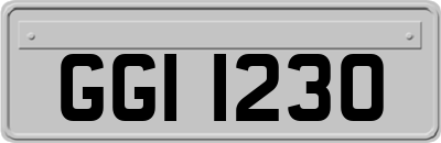 GGI1230