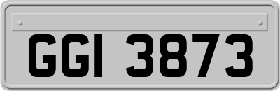 GGI3873