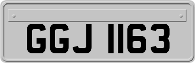 GGJ1163