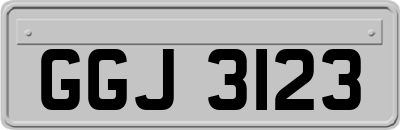 GGJ3123