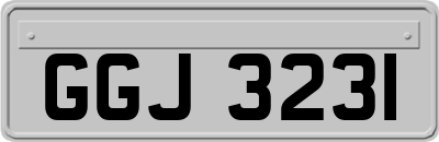 GGJ3231