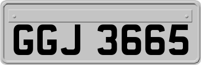GGJ3665