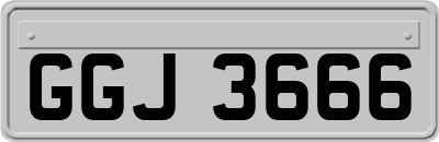 GGJ3666
