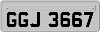GGJ3667