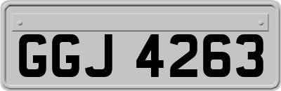 GGJ4263