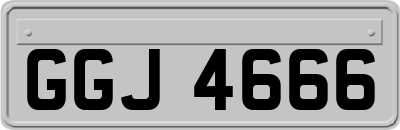 GGJ4666