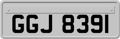 GGJ8391