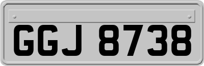 GGJ8738