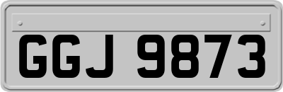 GGJ9873
