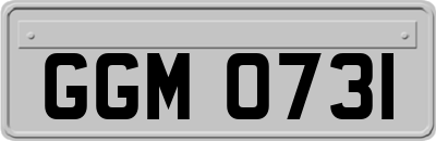 GGM0731