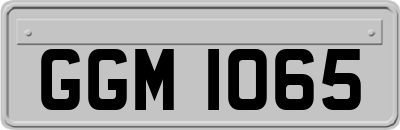 GGM1065