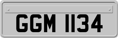 GGM1134