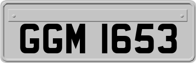 GGM1653
