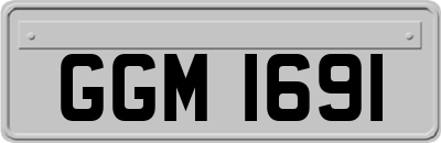 GGM1691