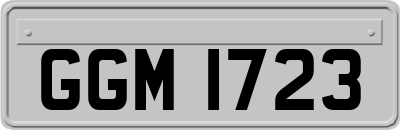 GGM1723