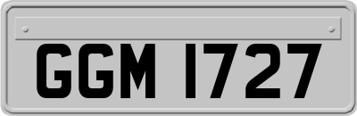 GGM1727