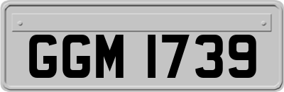 GGM1739