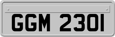 GGM2301