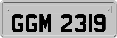 GGM2319