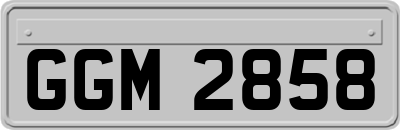 GGM2858