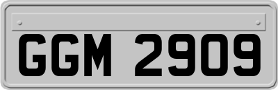 GGM2909