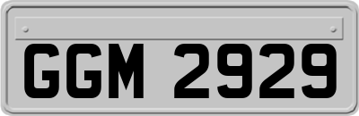 GGM2929