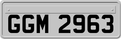 GGM2963