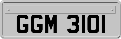GGM3101