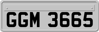 GGM3665