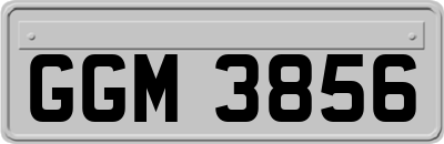 GGM3856