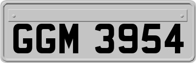 GGM3954