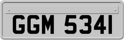 GGM5341