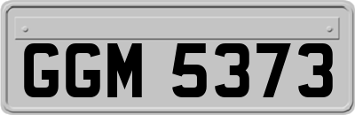 GGM5373