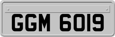 GGM6019