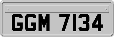 GGM7134