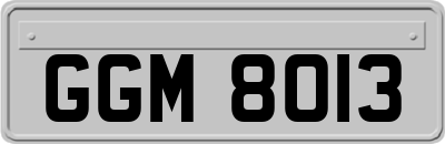 GGM8013