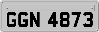 GGN4873