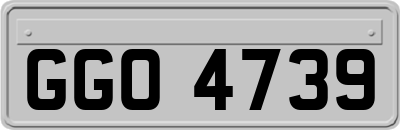 GGO4739