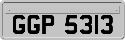 GGP5313