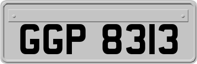 GGP8313
