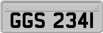 GGS2341