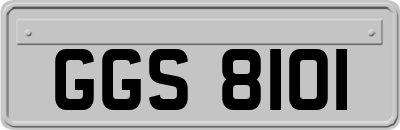 GGS8101